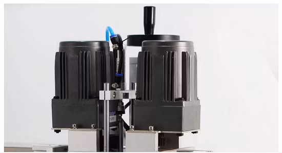 Liquid Soap Detergent Shampoo Trigger Spray Automatic Screw Capping Machine